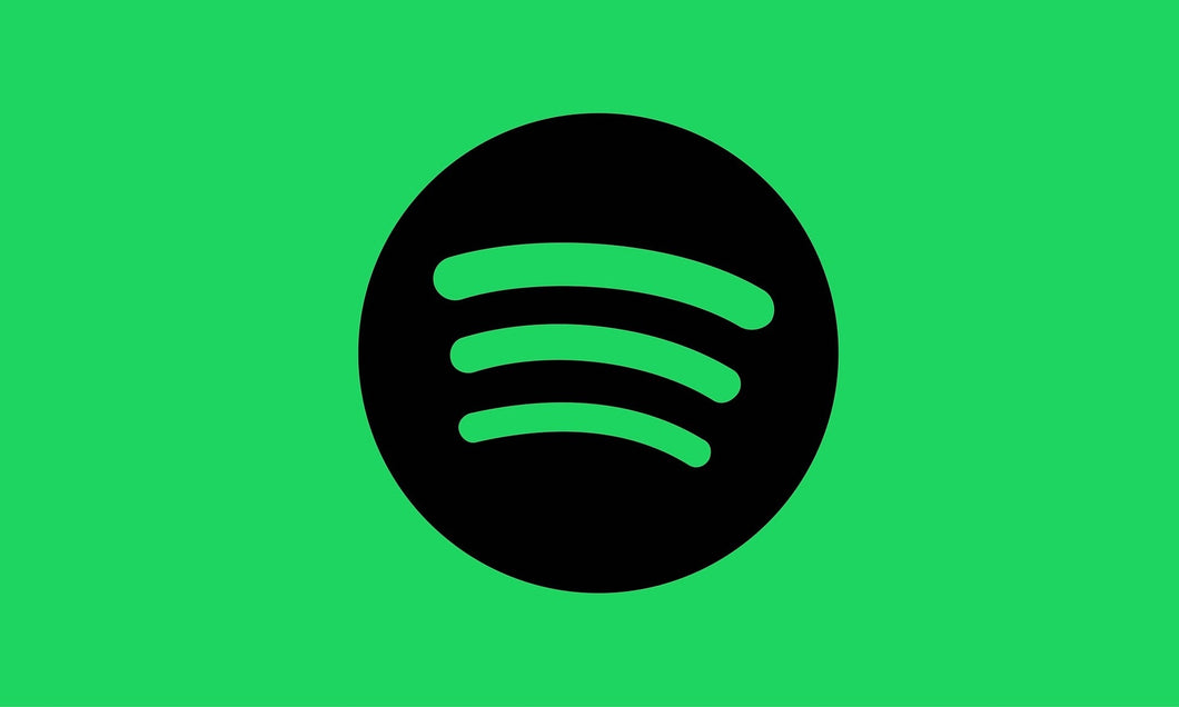 Spotify Musiker Klein (Starter Paket)